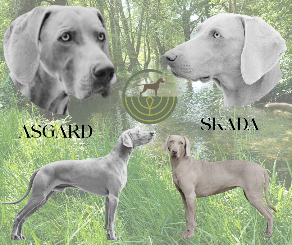 La descendance de Skada s'annonce pour la mi-juillet.